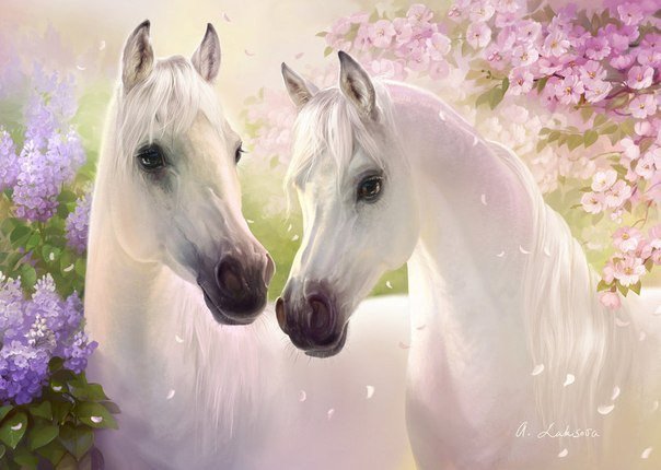 Белые лошади - лошадь, нежность, лошади - оригинал