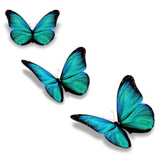 Оригинал схемы вышивки «Голубые Бабочки» (№444841)