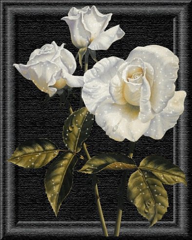 белое на черном - розы, цветы - оригинал