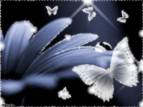 №445161 - бабочки, цветы - оригинал