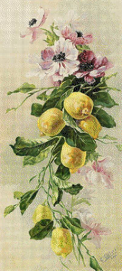 Цветы и фрукты - цветы, лимоны, фрукты - предпросмотр
