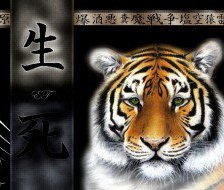 Оригинал схемы вышивки «Тигр» (№445940)
