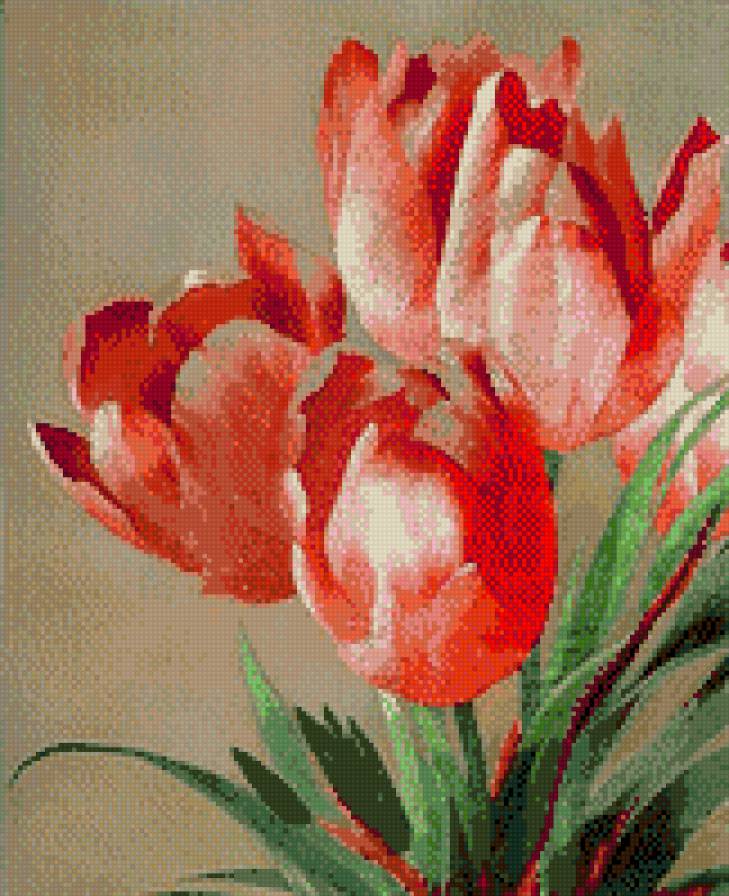 Красные тюльпаны - цветы - предпросмотр
