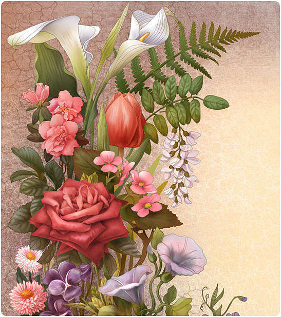 прекрасный букет - розы, белые цветы, роза, каллы, букет, калла, розовые цветы - оригинал
