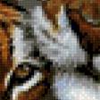 Предпросмотр схемы вышивки «тигры3» (№446928)