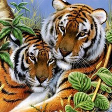 Оригинал схемы вышивки «тигры3» (№446928)