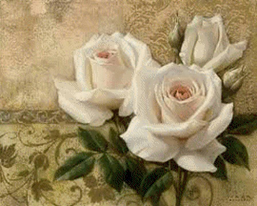 белые розы - розы, цветы, винтаж - предпросмотр