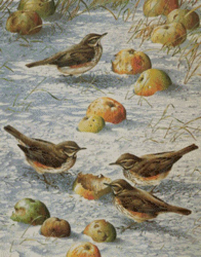яблоки на снегу - яблоки, птицы, зима, воробей - предпросмотр