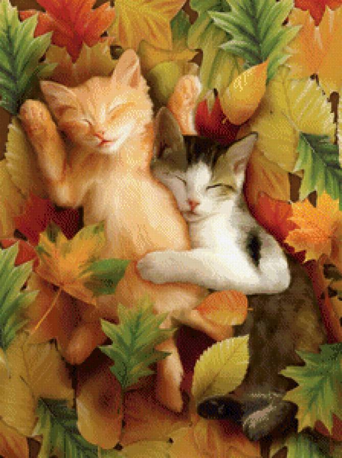 теплая осень - милашка, лапушка, друзья, пара, котенок, сон, кот, листья - предпросмотр