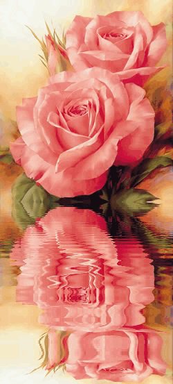 розы отражение в воде - картина, розы, цветы - оригинал