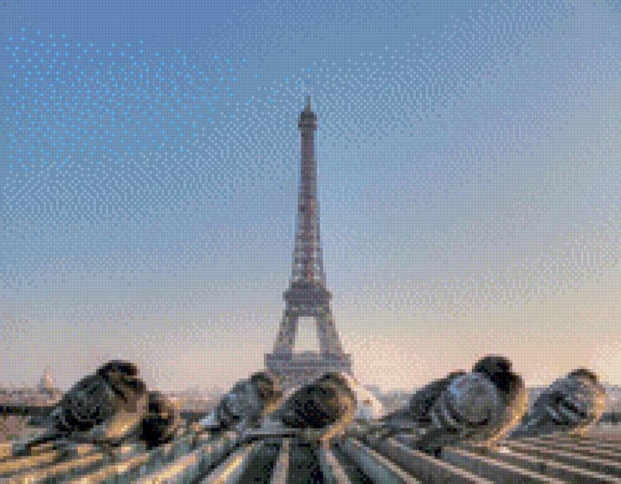 Париж - париж, голуби, франция - предпросмотр