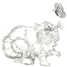 Оригинал схемы вышивки «котик и бабочка» (№448180)