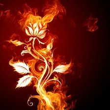 Оригинал схемы вышивки «Огненный цветок» (№448390)