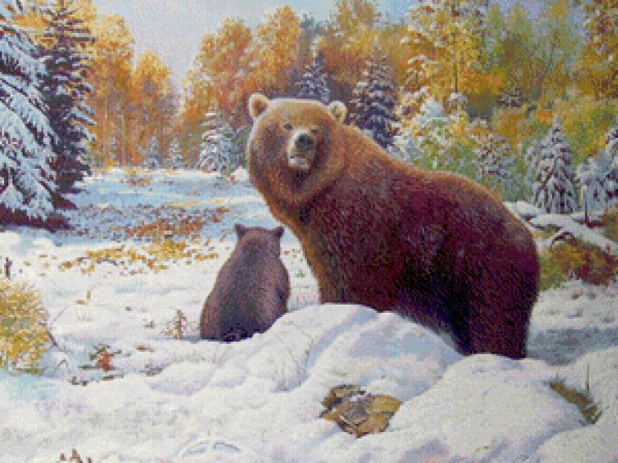 Медведи - пейзажи, зима, животные, природа - предпросмотр