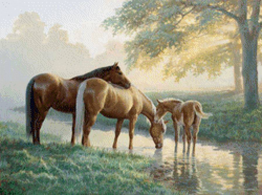 Красивые лошадки) - природа, животные, лошади - предпросмотр