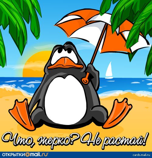 Пингвин - море, жарко, парусник, лето, пляж, отдых, зонтик - оригинал