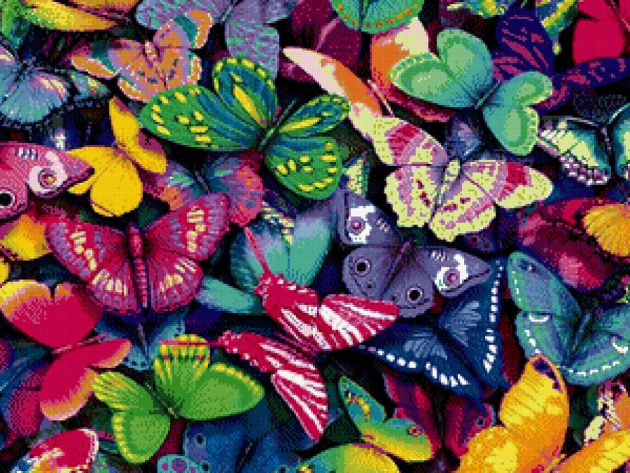 Яркие бабочки =) - красота, бабочки - предпросмотр