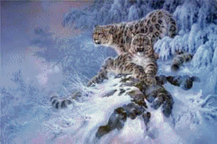 снежные барсы - дикие кошки, животные, зима, коты, горы - предпросмотр