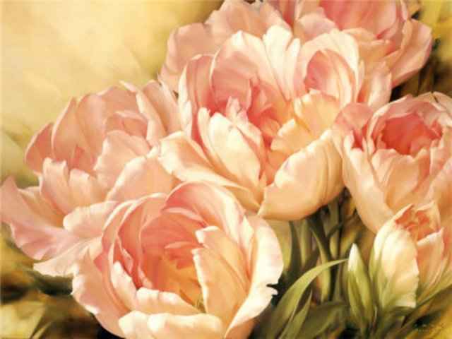 акварельные тюльпаны - цветы, рисунок, тюльпаны - оригинал
