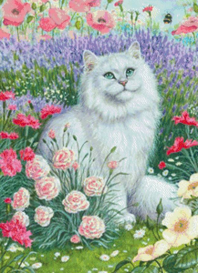 домашние любимцы - цветы, кошка - предпросмотр