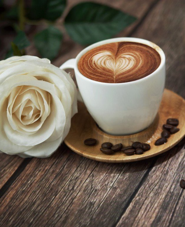 Любимый кофе - для кухни, роза, чашка кофе, утро - оригинал