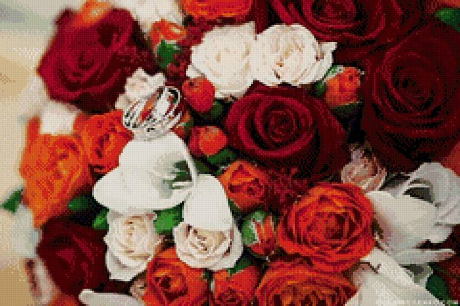 Букет роз - цветы, розы, букет - предпросмотр