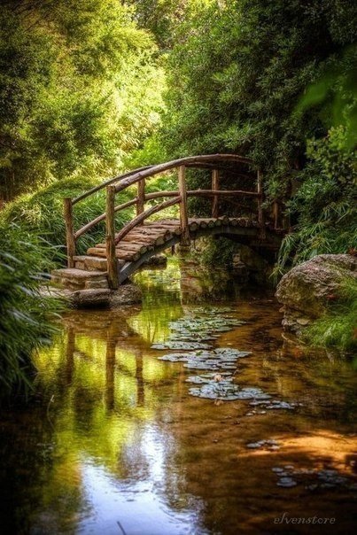 Мостик в лесу - мост, лес, речка, пейзаж - оригинал