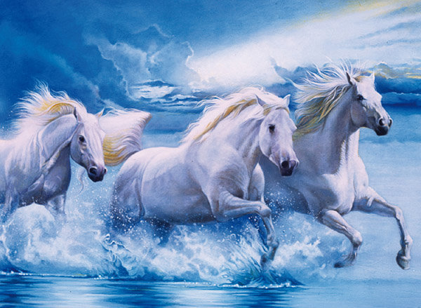 Кони в воде - лошади, кони, животные - оригинал