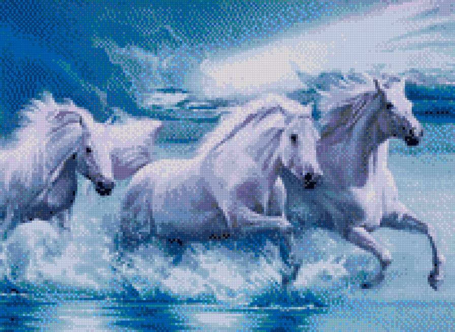 Кони в воде - животные, кони, лошади - предпросмотр