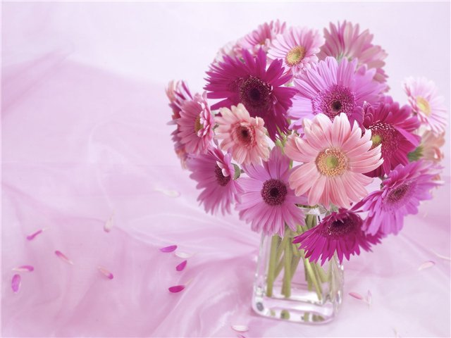 герберы - ваза, цветы, нежно - оригинал