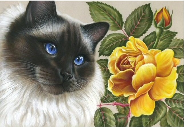 кошки и цветы - кот, роза, домашние животные, желтые цветы, кошка, кошки - оригинал