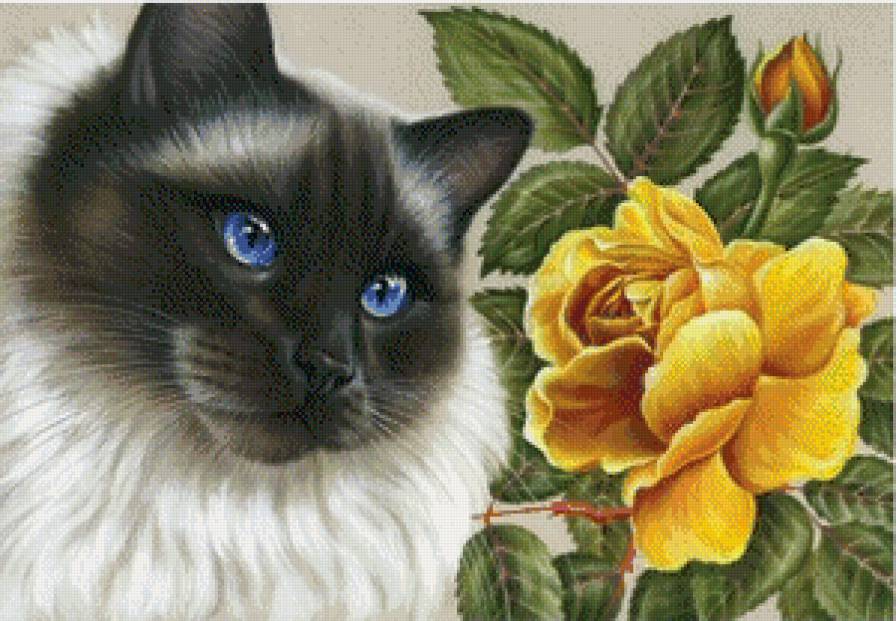кошки и цветы - домашние животные, кот, роза, кошка, кошки, желтые цветы - предпросмотр
