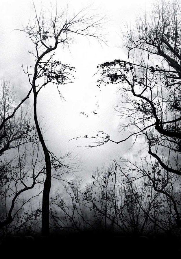 Иллюзия - лицо, деревья - оригинал