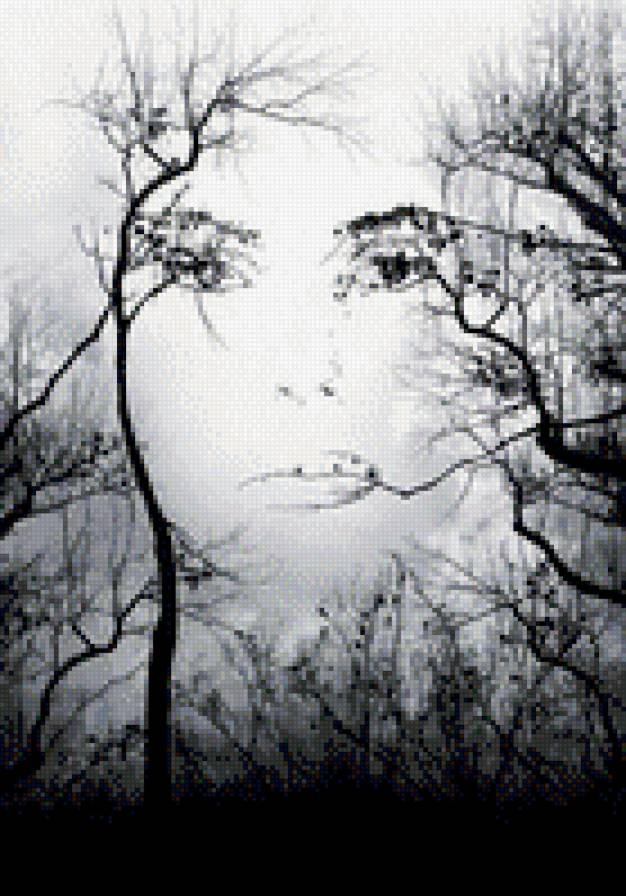 Иллюзия - лицо, деревья - предпросмотр