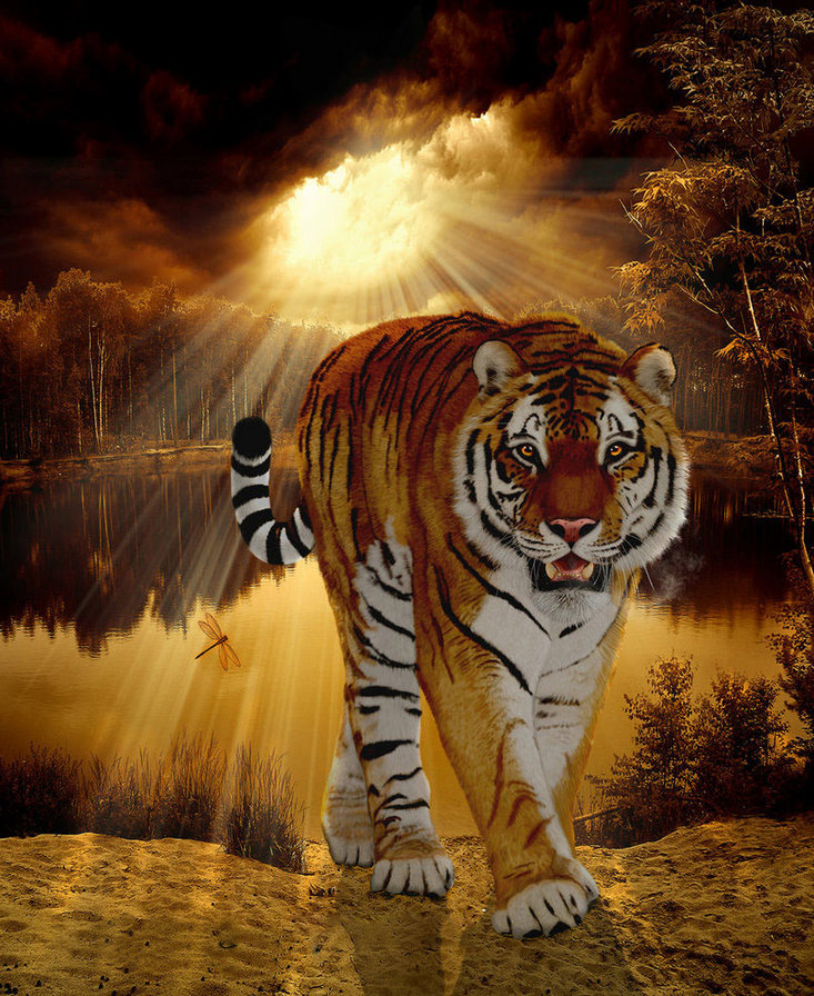 тигр - природа, хищники, кошки, лес, животные, тигры - оригинал