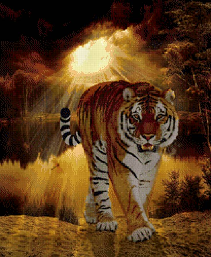 тигр - хищники, животные, природа, кошки, лес, тигры - предпросмотр
