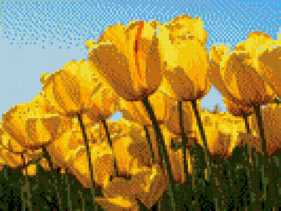 солнечный май - май, солнце, тюльпаны - предпросмотр