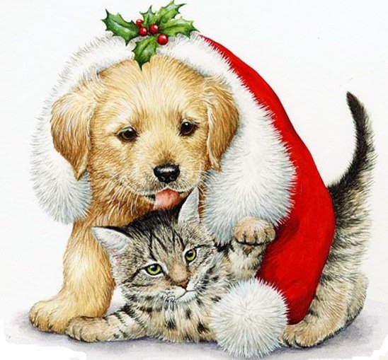 Новый год.Котёнок и щенок - животные, щенок, праздник, котенок, новый год - оригинал