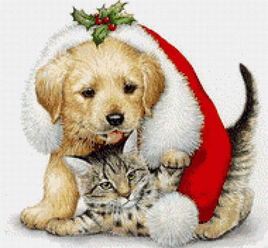 Новый год.Котёнок и щенок - новый год, праздник, котенок, щенок, животные - предпросмотр