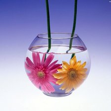 Оригинал схемы вышивки «Цветы в вазе» (№453273)