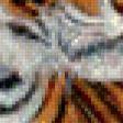 Предпросмотр схемы вышивки «тигр» (№454372)
