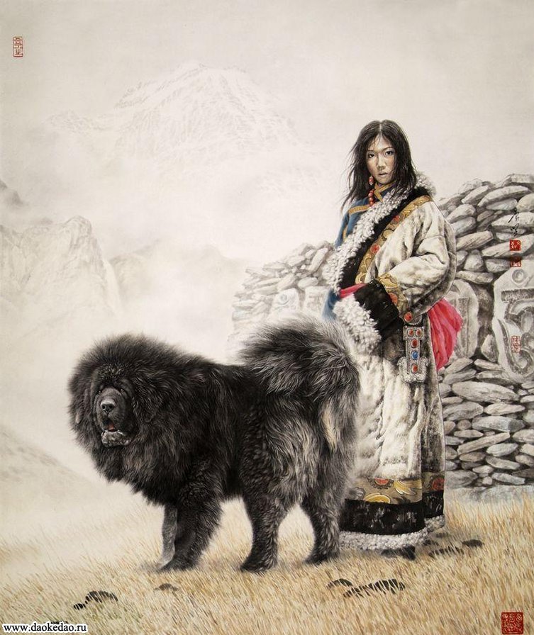 Девушка с тибетским мастифом - животные, собаки, восток, азия, девушка - оригинал