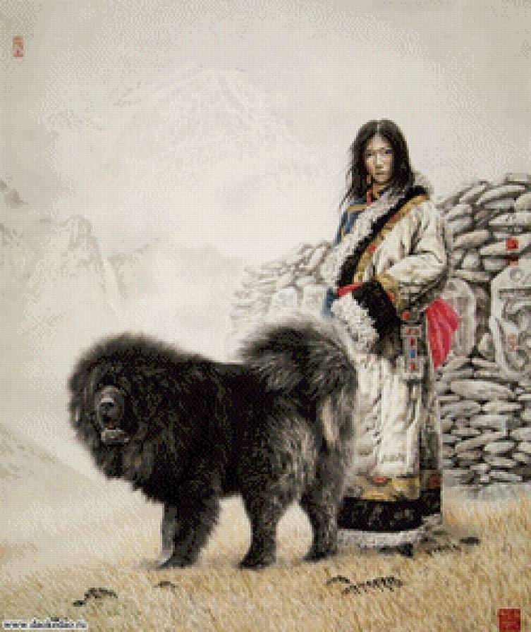 Девушка с тибетским мастифом - девушка, животные, собаки, восток, азия - предпросмотр