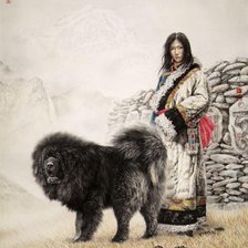 Девушка с тибетским мастифом