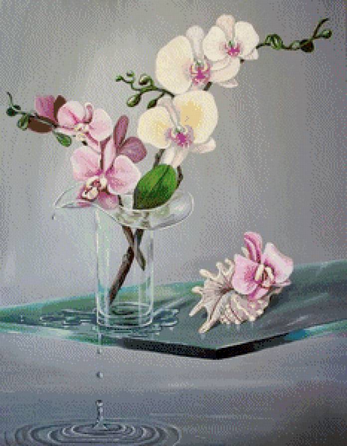 орхидея - цветы, живопись, букет, вода, ракушка, ваза, картина - предпросмотр
