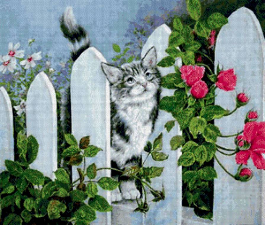 Котик на заборе - предпросмотр