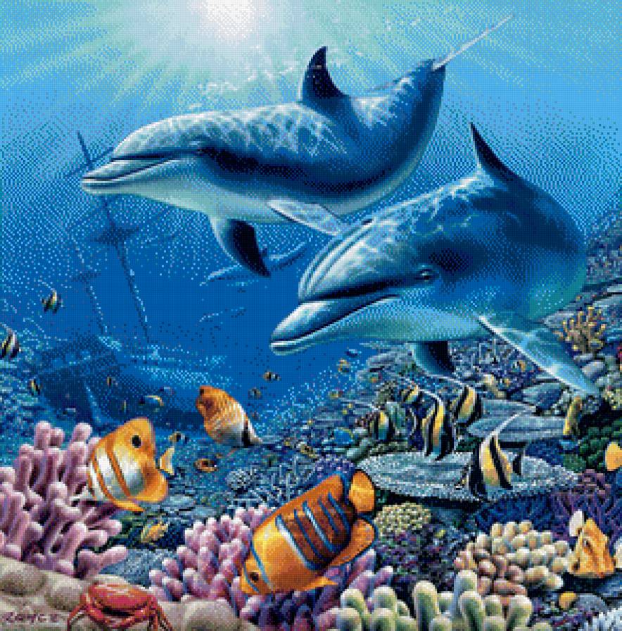 Дельфины - рыба, море - предпросмотр