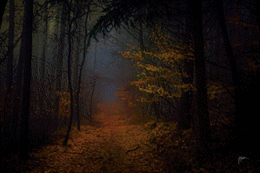 В глуши - дорога, туман, лес, осень, чаща - предпросмотр