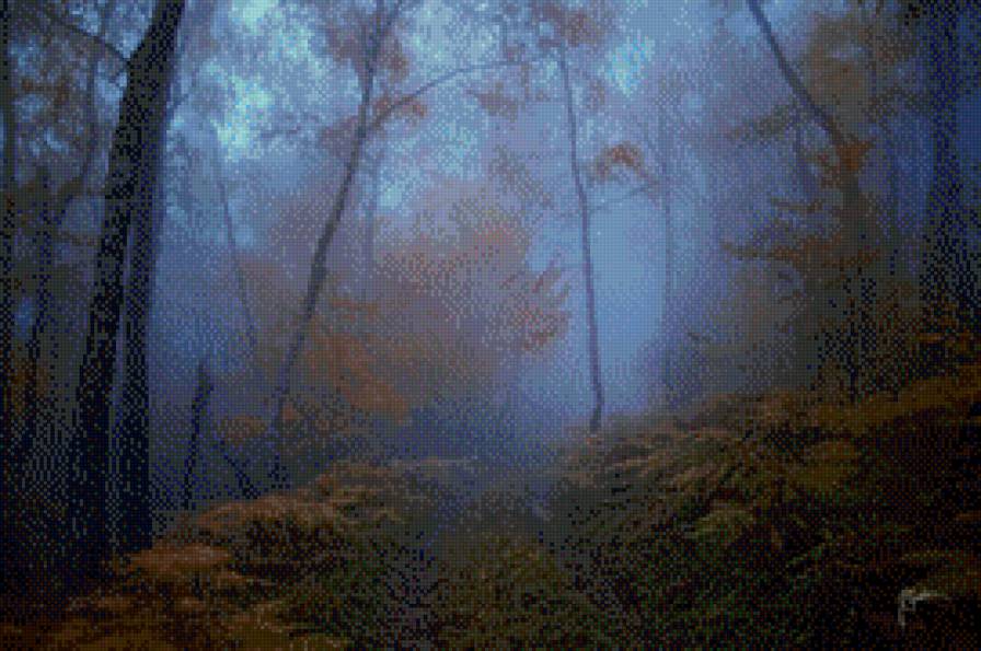 Туман в лесу - туман, осень, дорога, лес, закат - предпросмотр