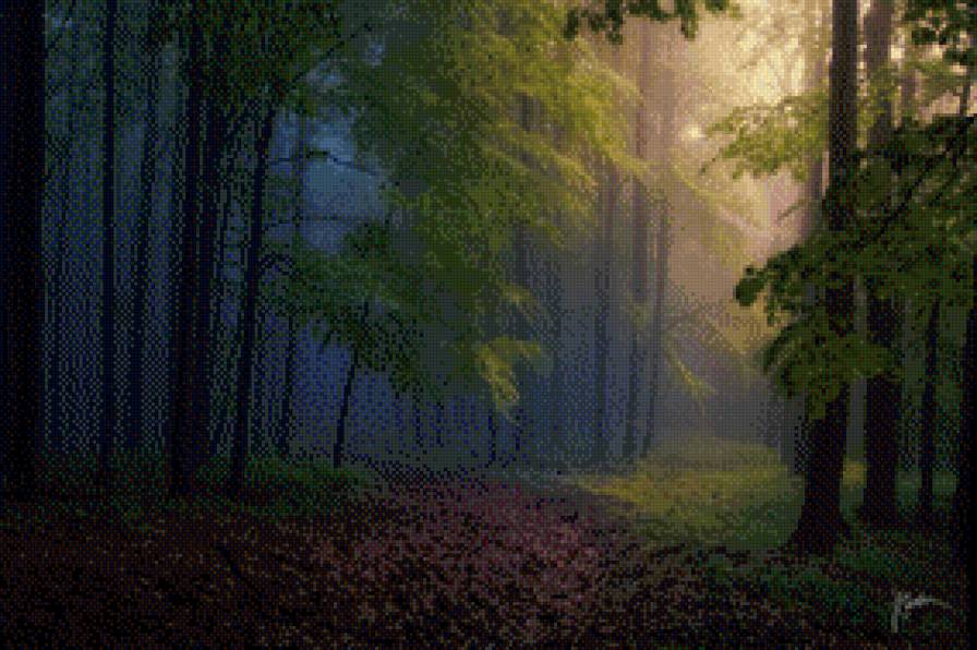 В глуши - туман, осень, дорога, лес - предпросмотр